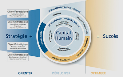 cadre de la stratégie