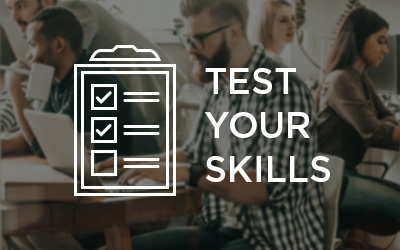 Test Your Skills Icon
